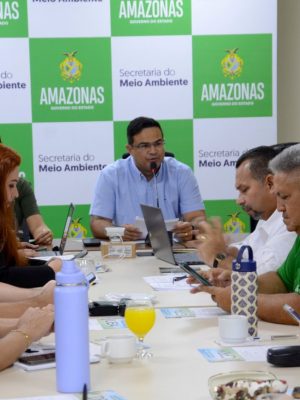 O Conselho Estadual de Meio Ambiente do Amazonas (Cemaam) aprovou, nesta sexta-feira (19), durante a 117ª Reunião Ordinária, o projeto “Amazonas Protegido: Controle Ambiental em Ação”, apresentado pelo Instituto de Proteção Ambiental do Amazonas (Ipaam).